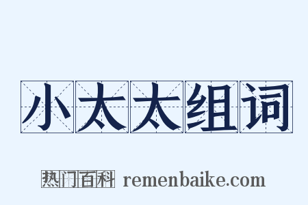 小太太组词是什么意思的图片